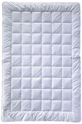 Одеяло Billerbeck Bamboo Uno normal (нормальное) не ниже +18°С, 135x200