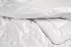  Одеяло Billerbeck Rubin Silk light (лёгкое) не ниже +20°С, тусса-шёлк фото в интернет-магазине Герд Биллербек